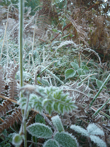 20111015004 Harasztosi magura